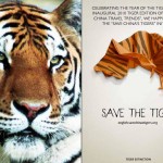 Tiger Edition Sponsor - Save the Tigers